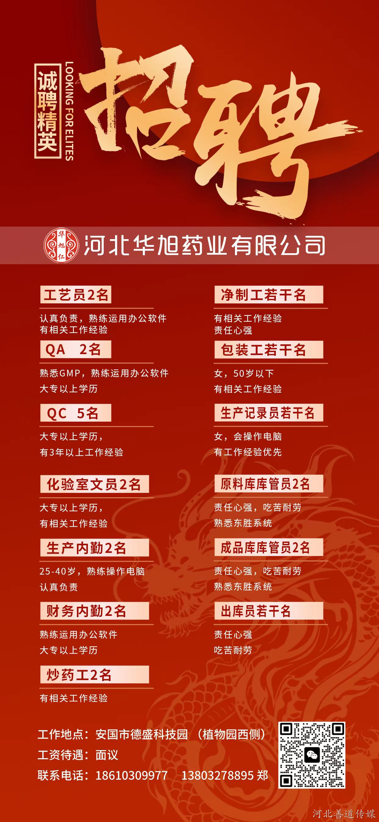 安国今日最新招聘信息深度探讨