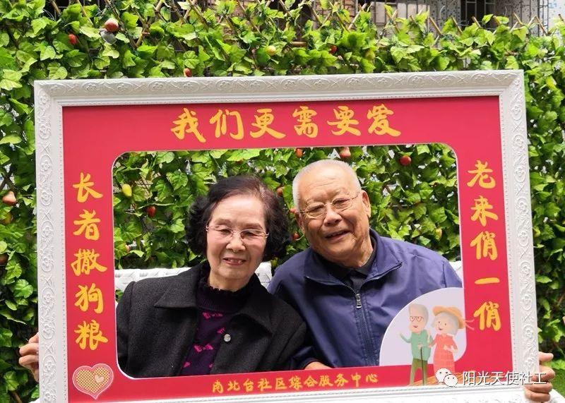 深度解析，狗粮资讯的时代背景与地位