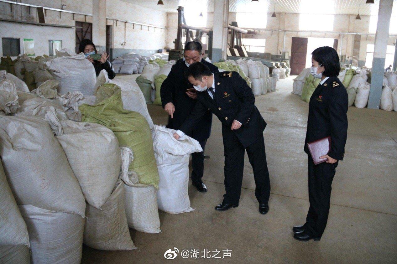武昌疫情最新动态