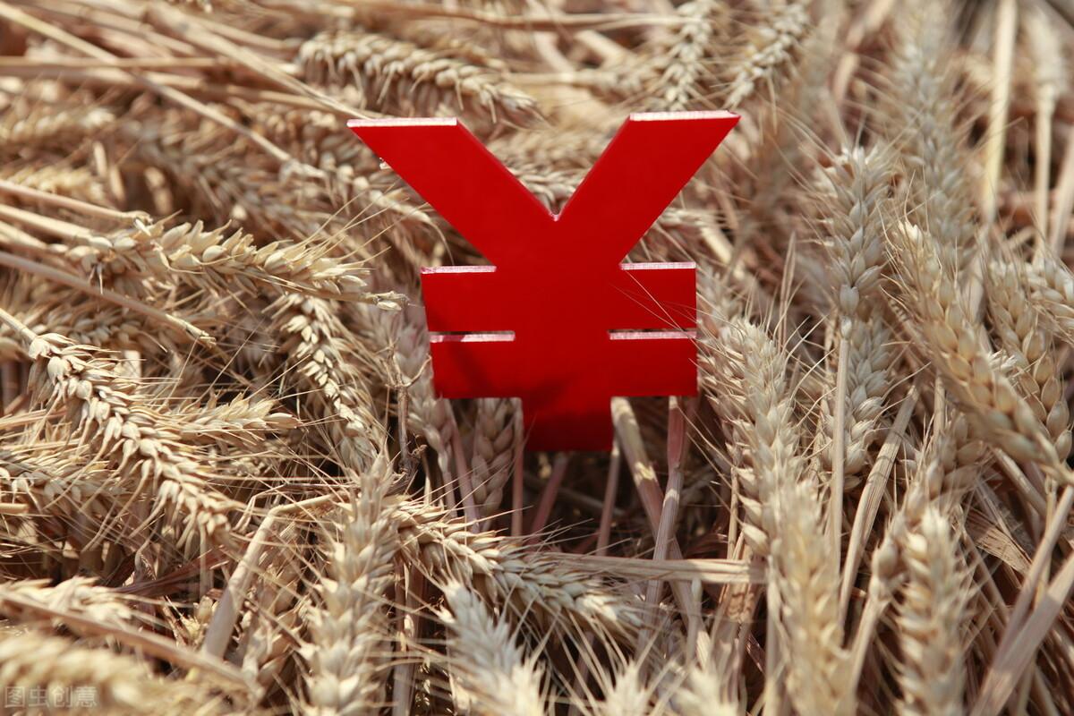 今天小麦价格的最新行情及多方观点分析