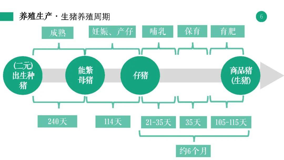 保健品 第15页