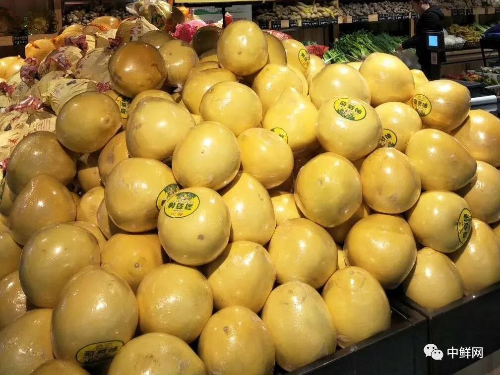 柚子的季节与新鲜品尝体验，揭秘柚子几月份上市！