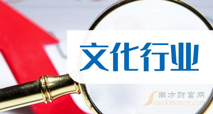 上市文化公司，成功之路探索与未来趋势展望
