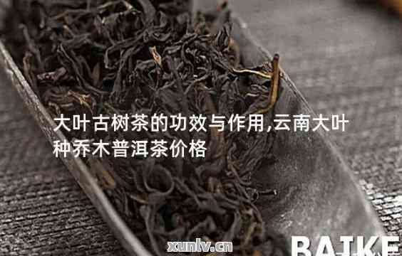 揭秘血竭价格，究竟多少钱一斤？🔍