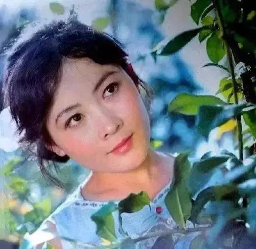 50年代明星,50年代明星，小巷深处的明星美食馆