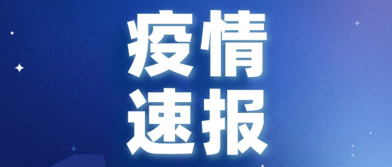 疫情最新通报更新，最新疫情动态报告