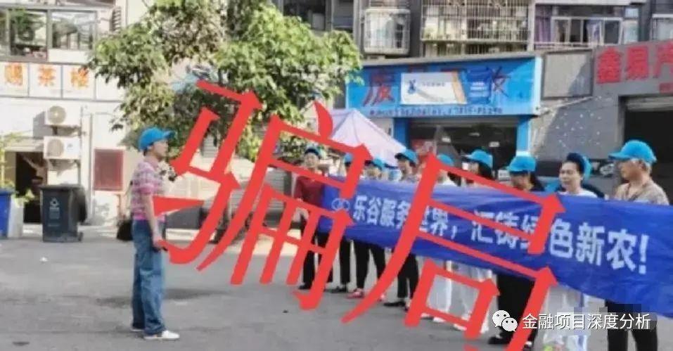 最新资金盘操作指南，从入门到进阶的全方位指导